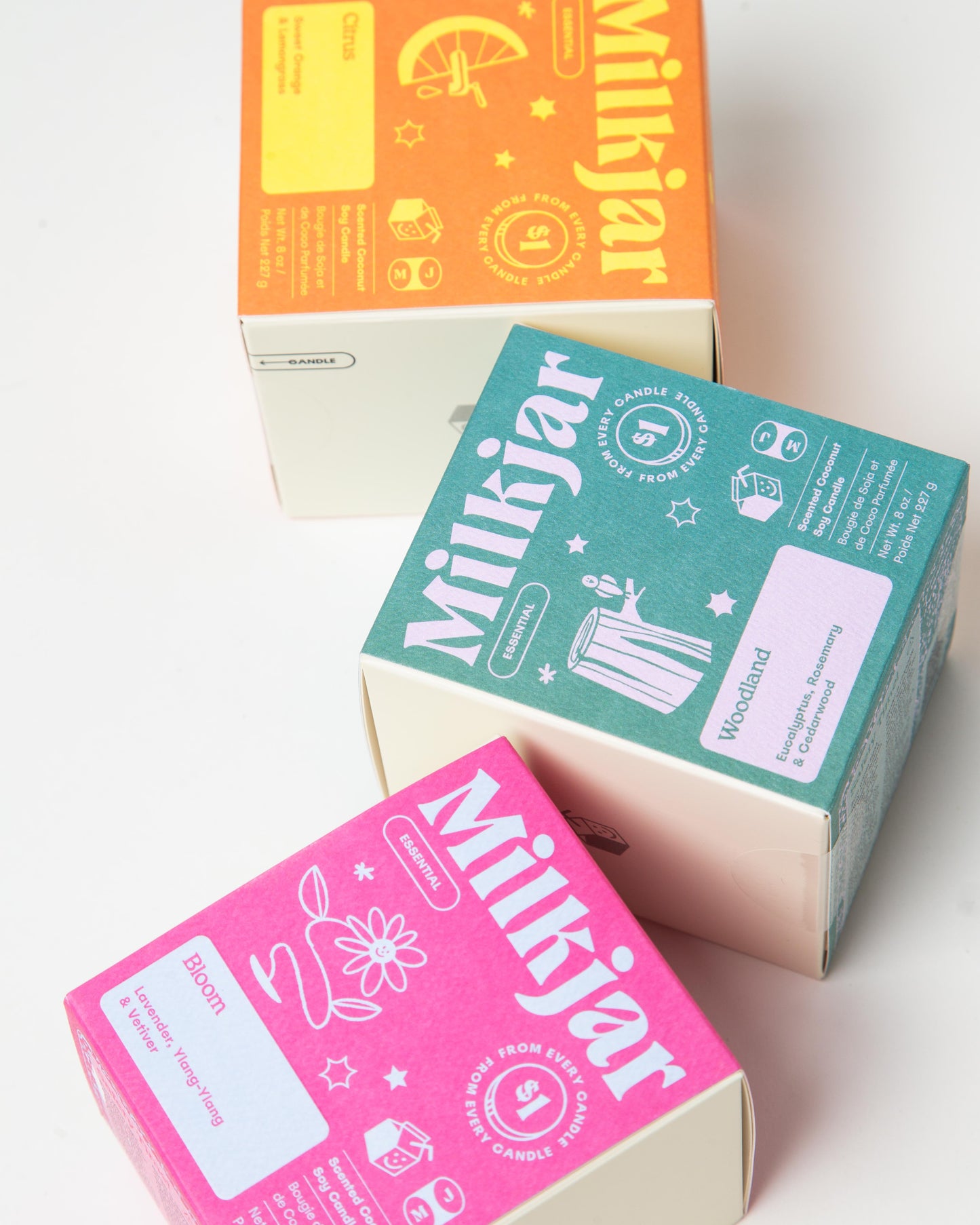 The Essential (Oil) Bundle